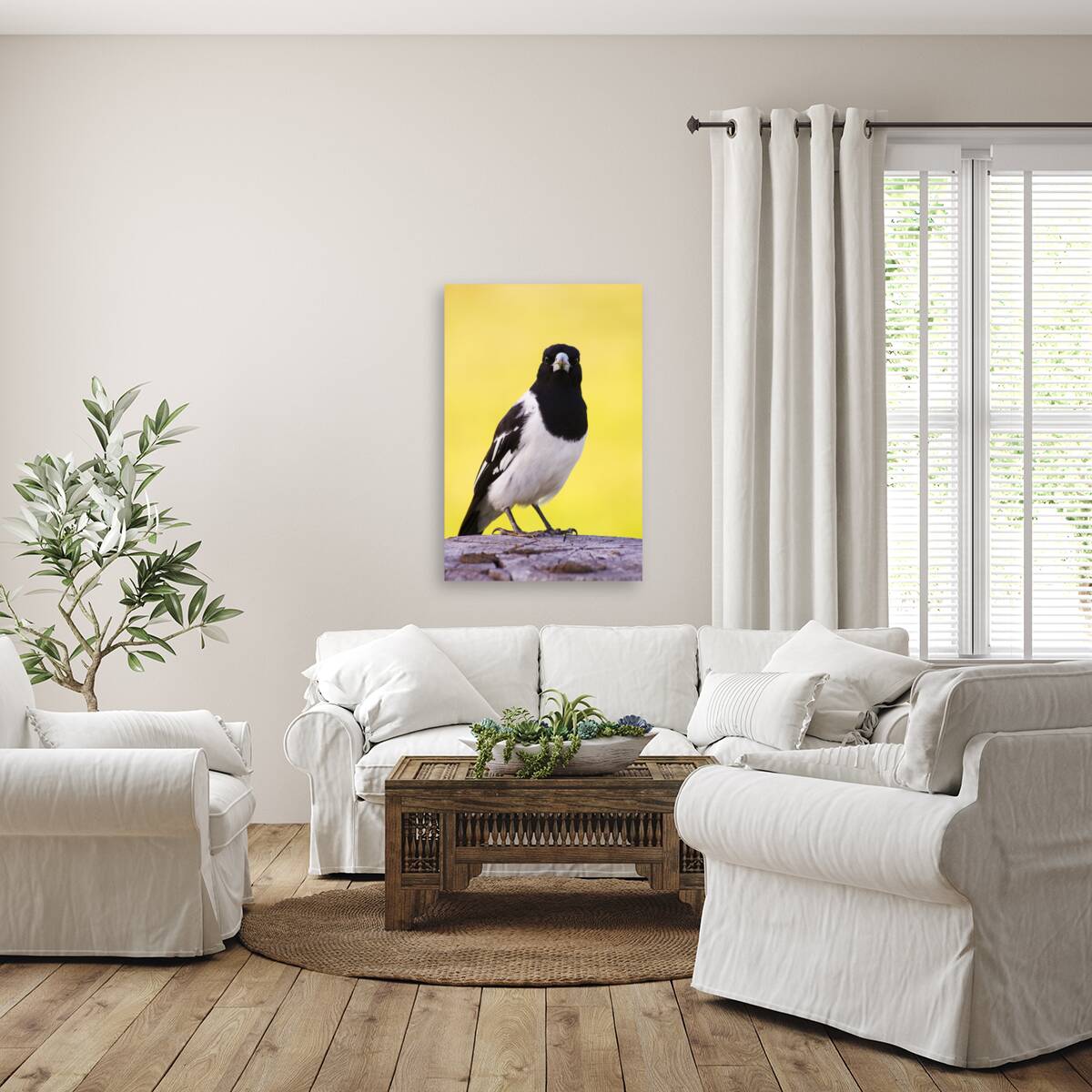 Mr. Magpie Reproduction