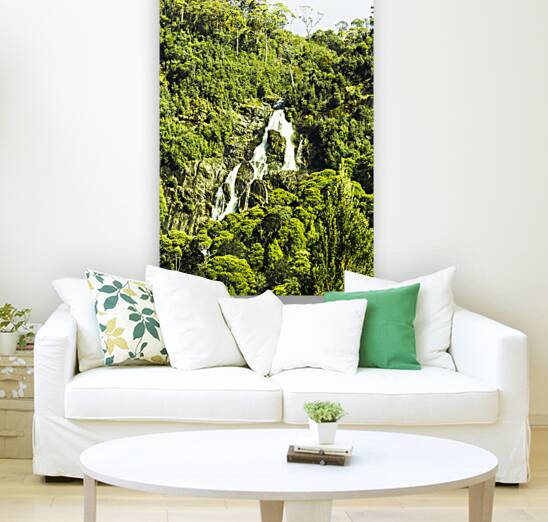 Rainforest rapids Reproduction