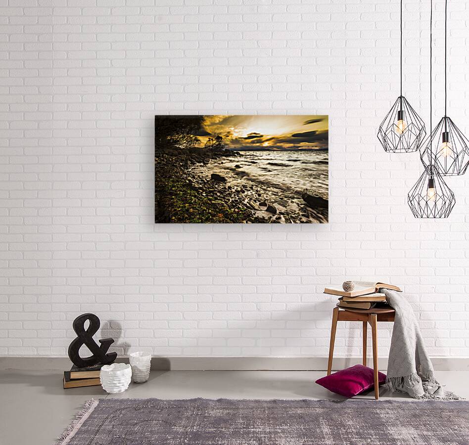 Seas of Lunawanna  Reproduction