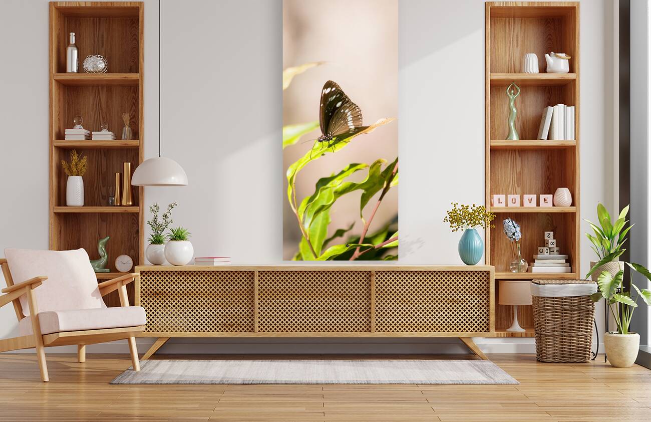 Tropical Butterfly Reproduction