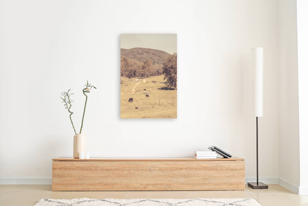 Old prairie Reproduction