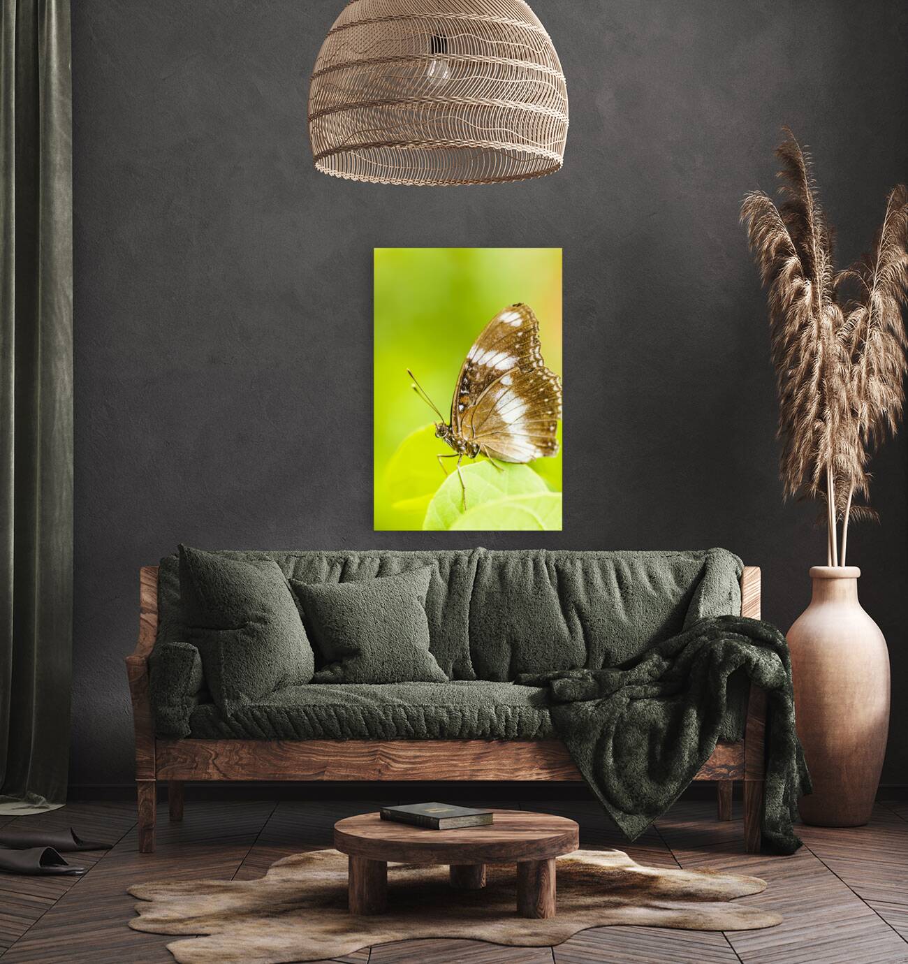 Tropical exotics Reproduction