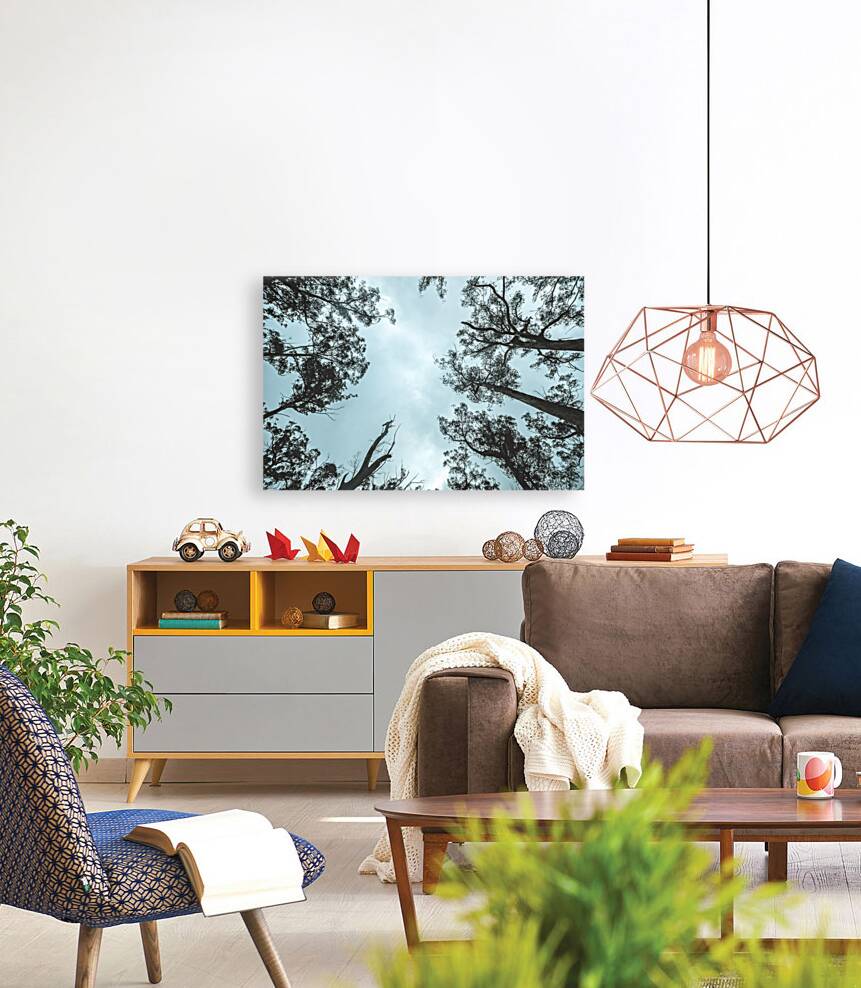 Midnight Canopy Reproduction