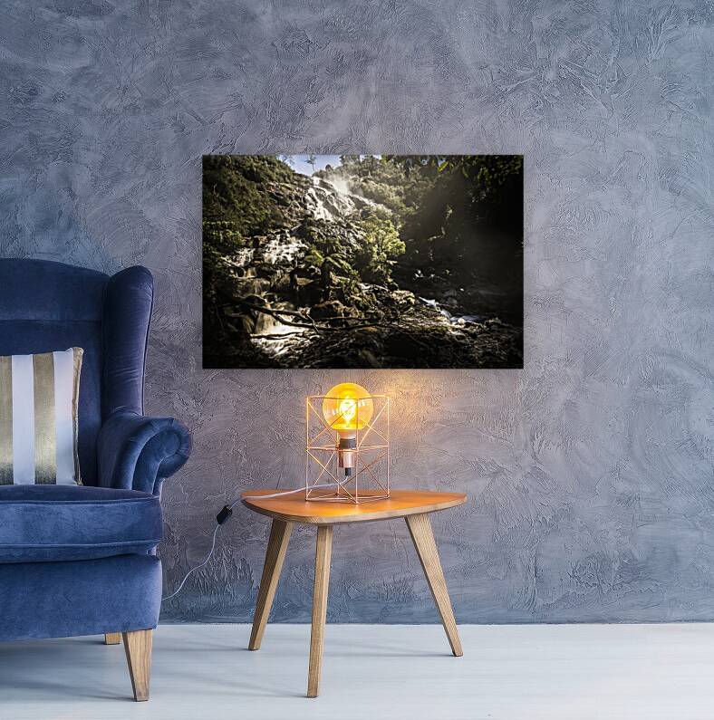 Tasmania wild Reproduction