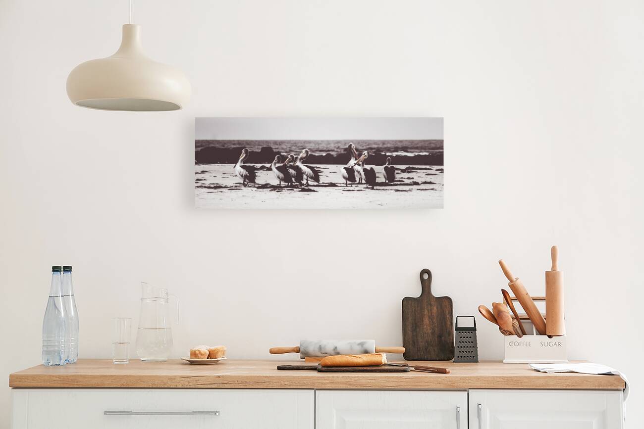 Pelican panorama Reproduction