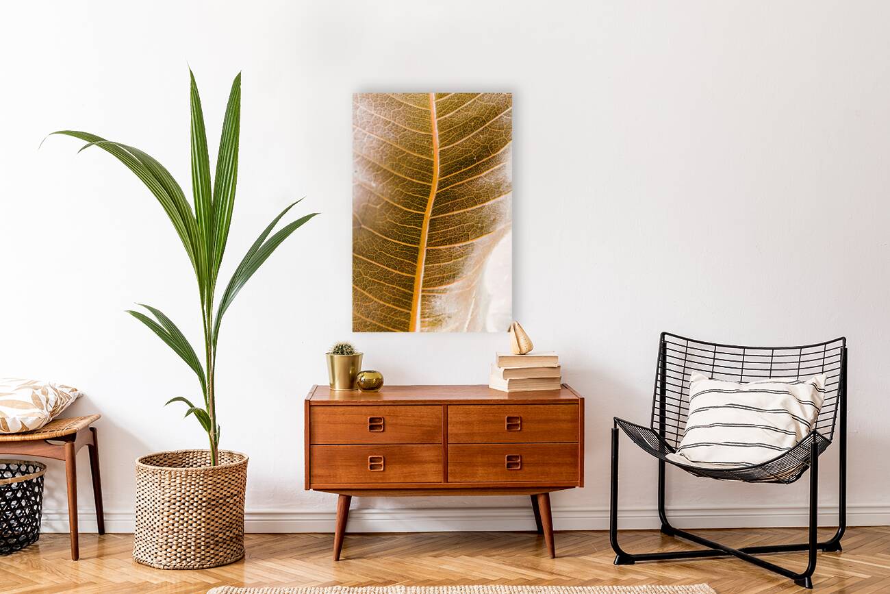 Natures intricacies Reproduction