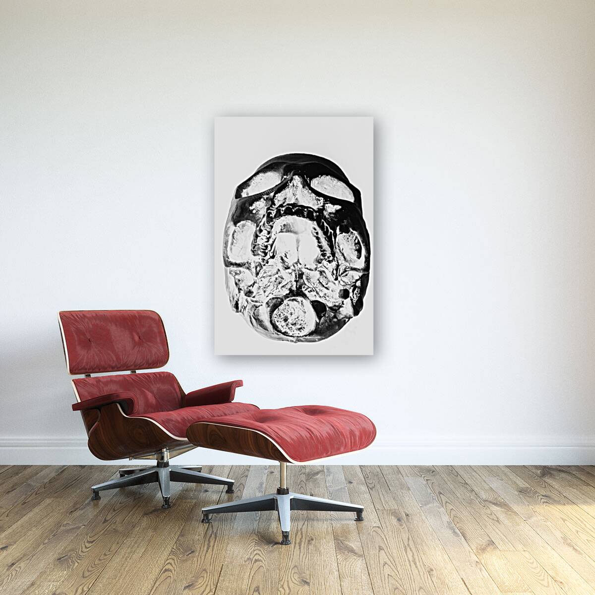 Skulls and dental records Reproduction