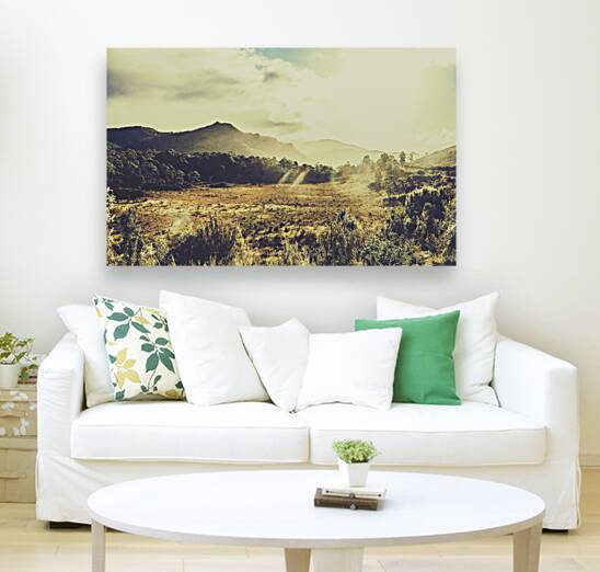 Sun bleached Australia Reproduction