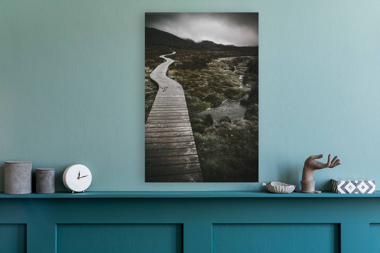 Dark dramatic winter landscape. Path of division Reproduction