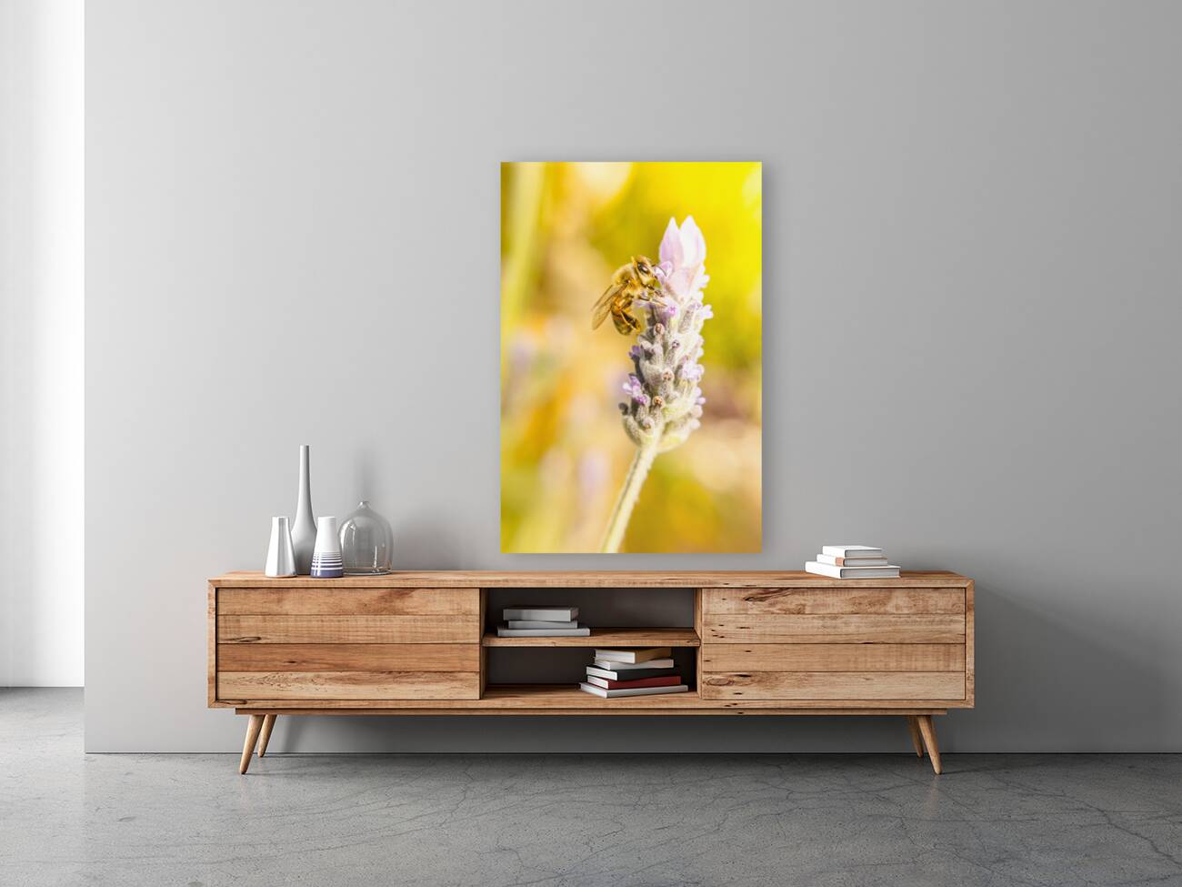 Lavender bee Reproduction