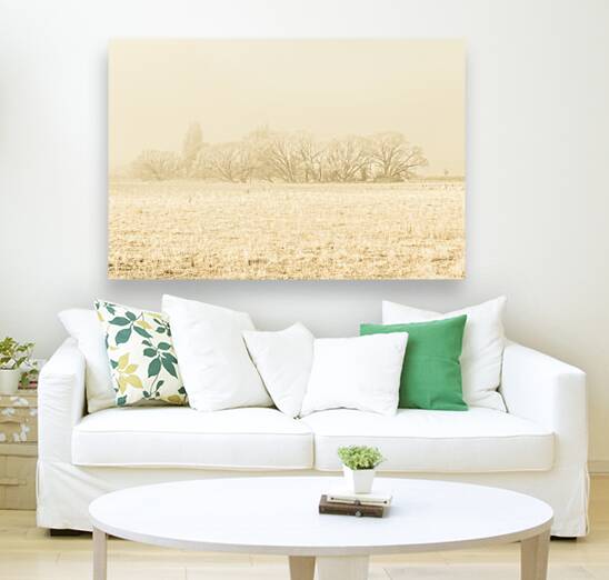 Icy cold foggy woodland Reproduction