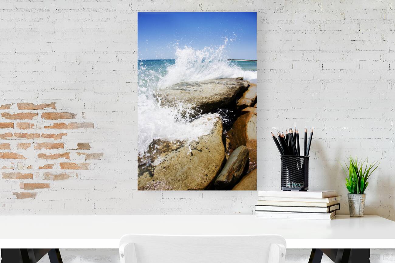 Coastal Collision Reproduction