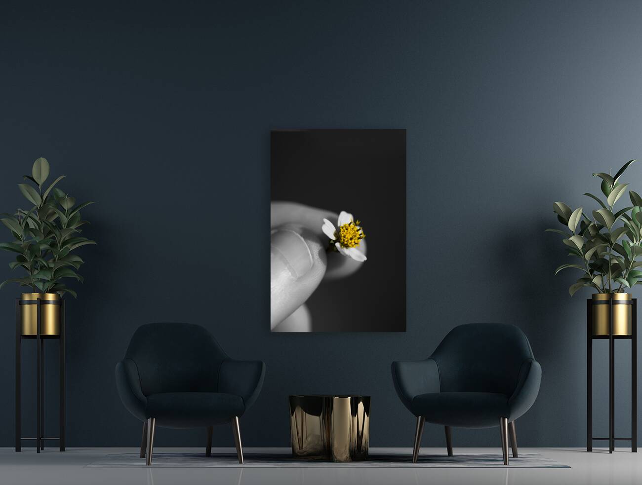 Baby Bloom Reproduction