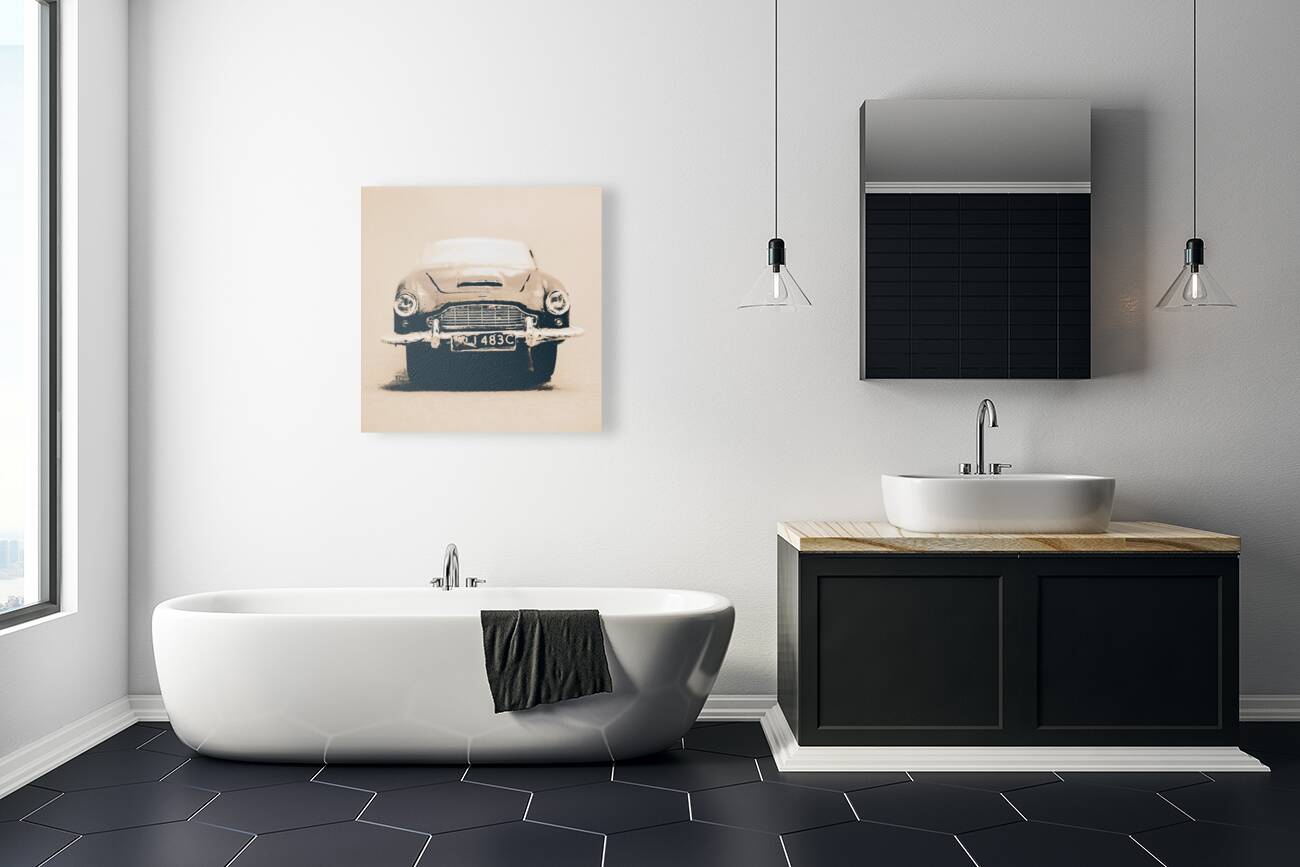 Martin miniature  Reproduction