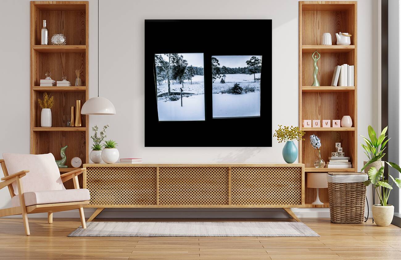 Windows to winter Reproduction