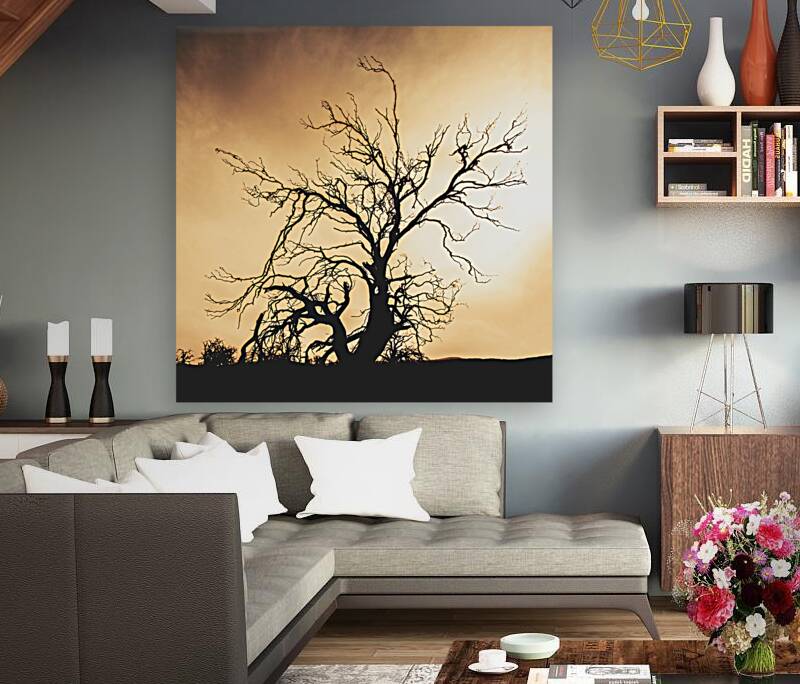 Dead tree silhouette Reproduction