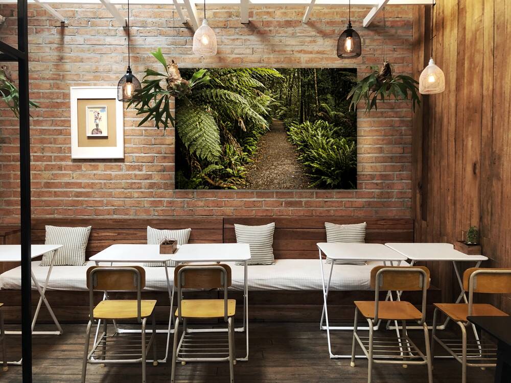 Lush green Tasmanian forest trail in Strahan Reproduction