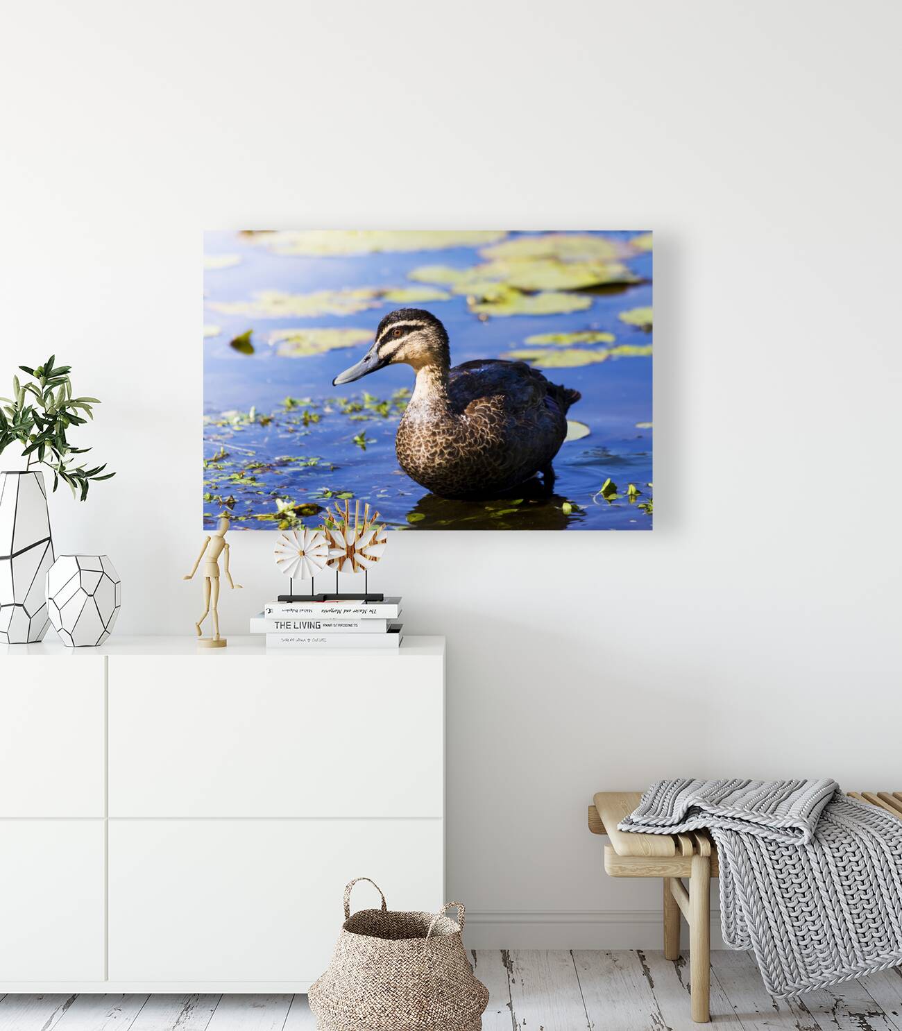 Pond Duck Reproduction