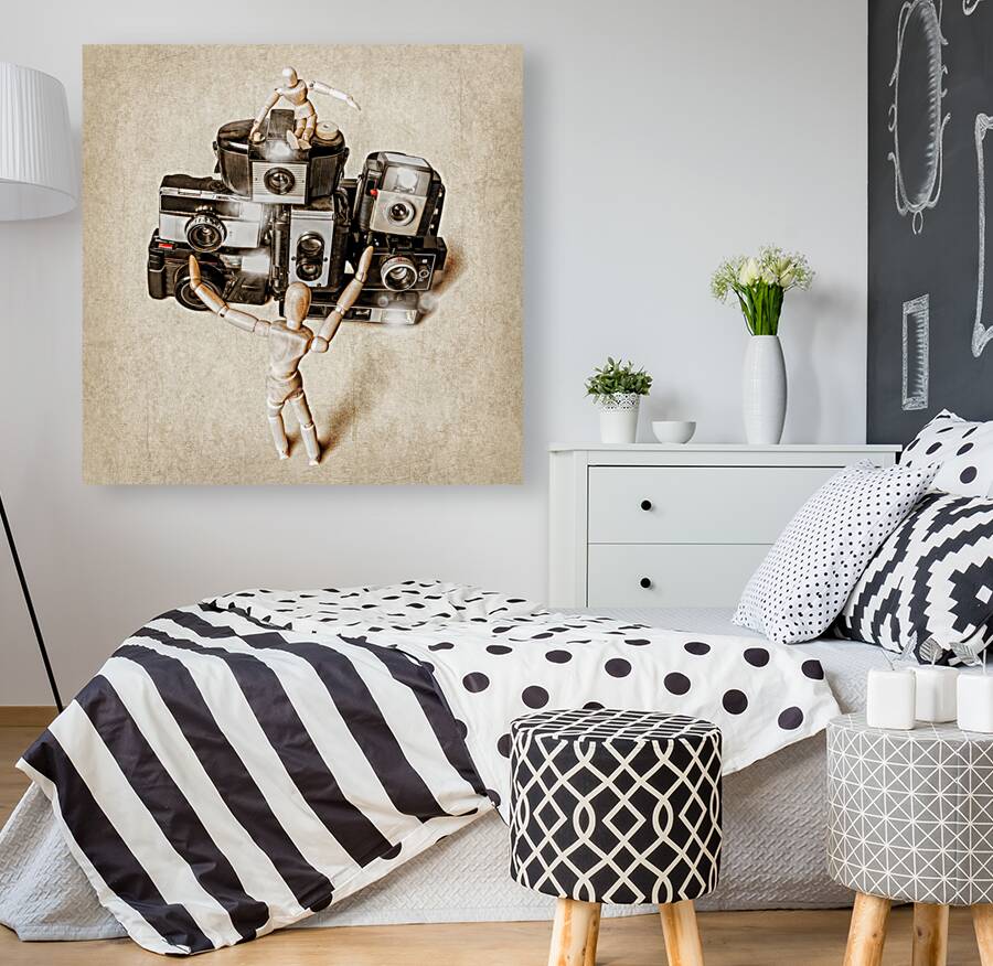 When the photographers away the toys will play Reproduction