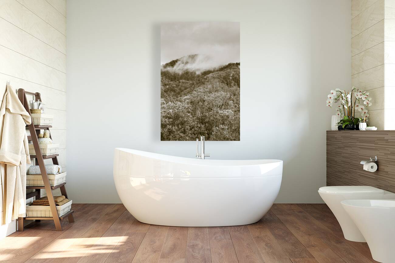 Misty mountains Reproduction