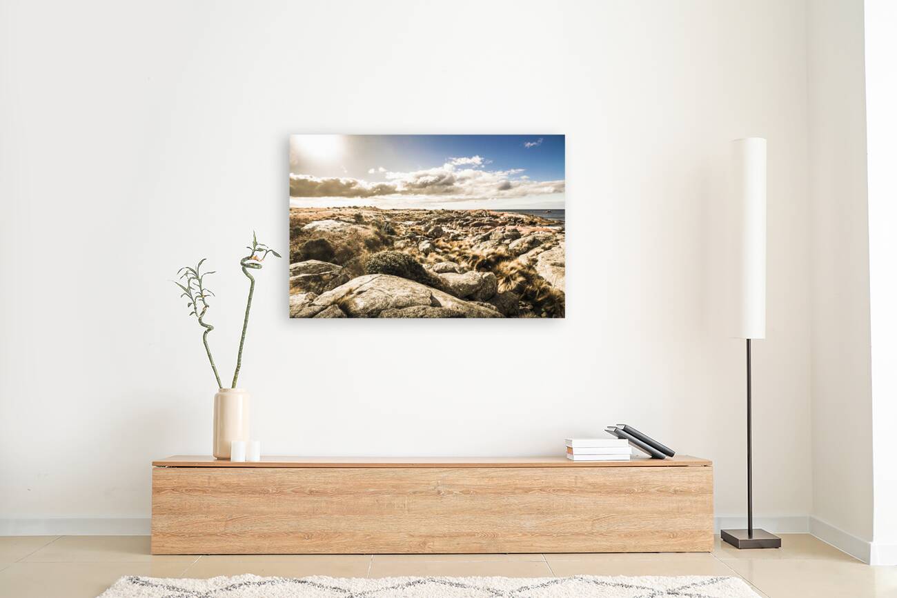 Bay of Fires Tasmania Australia Reproduction