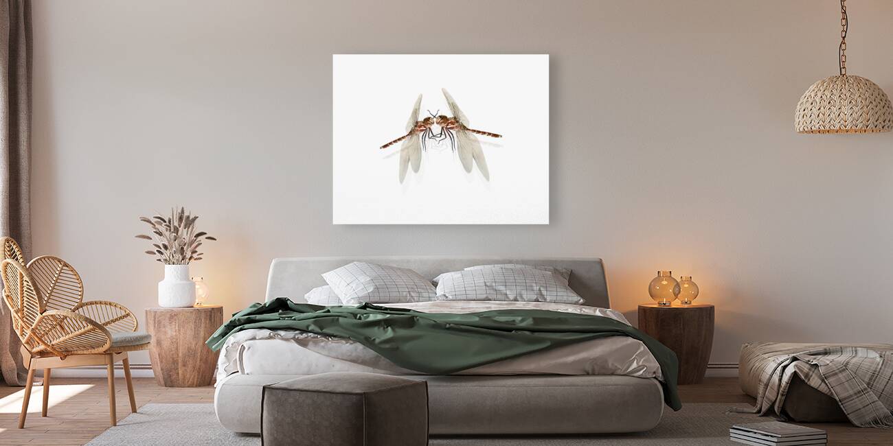 The Great Romanticism Reproduction