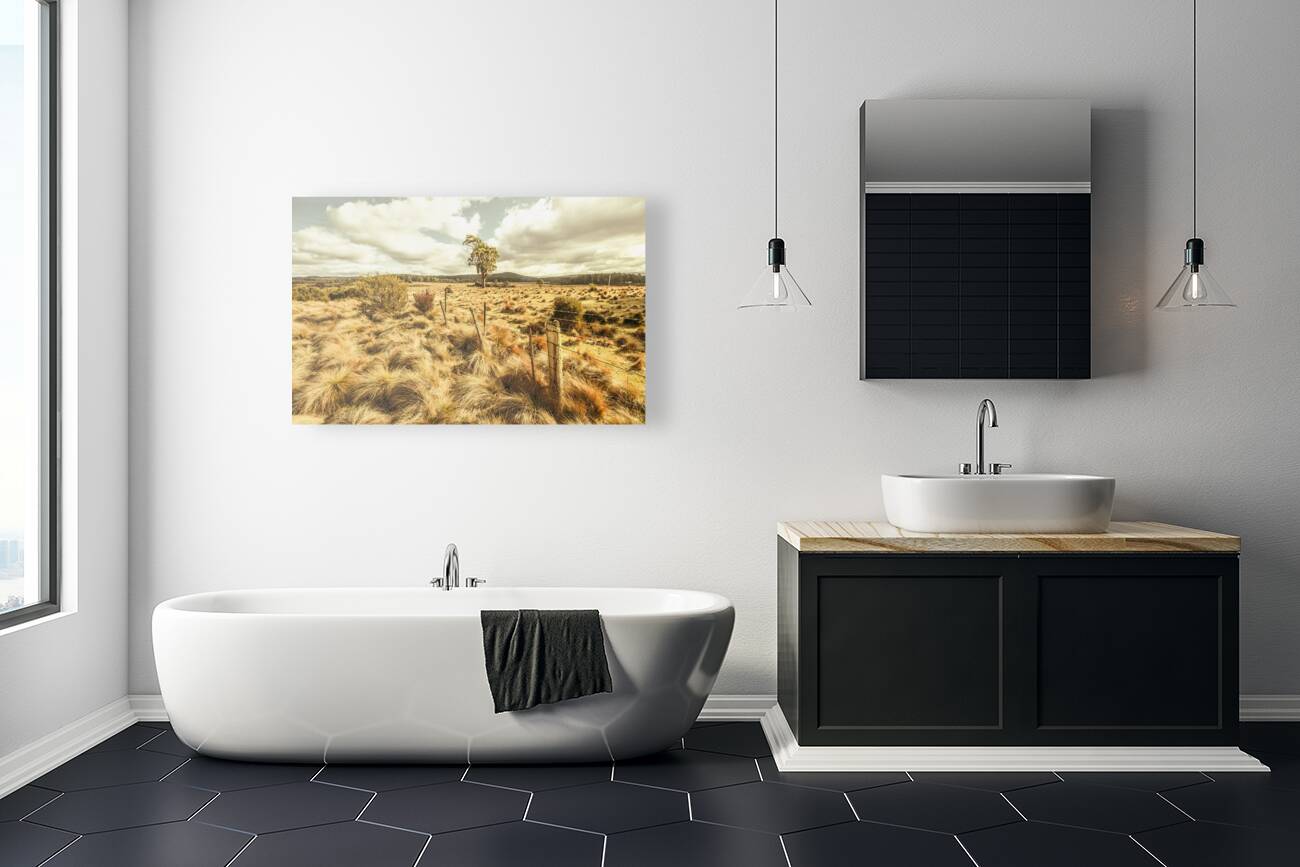 Rugged Australian pastures Reproduction