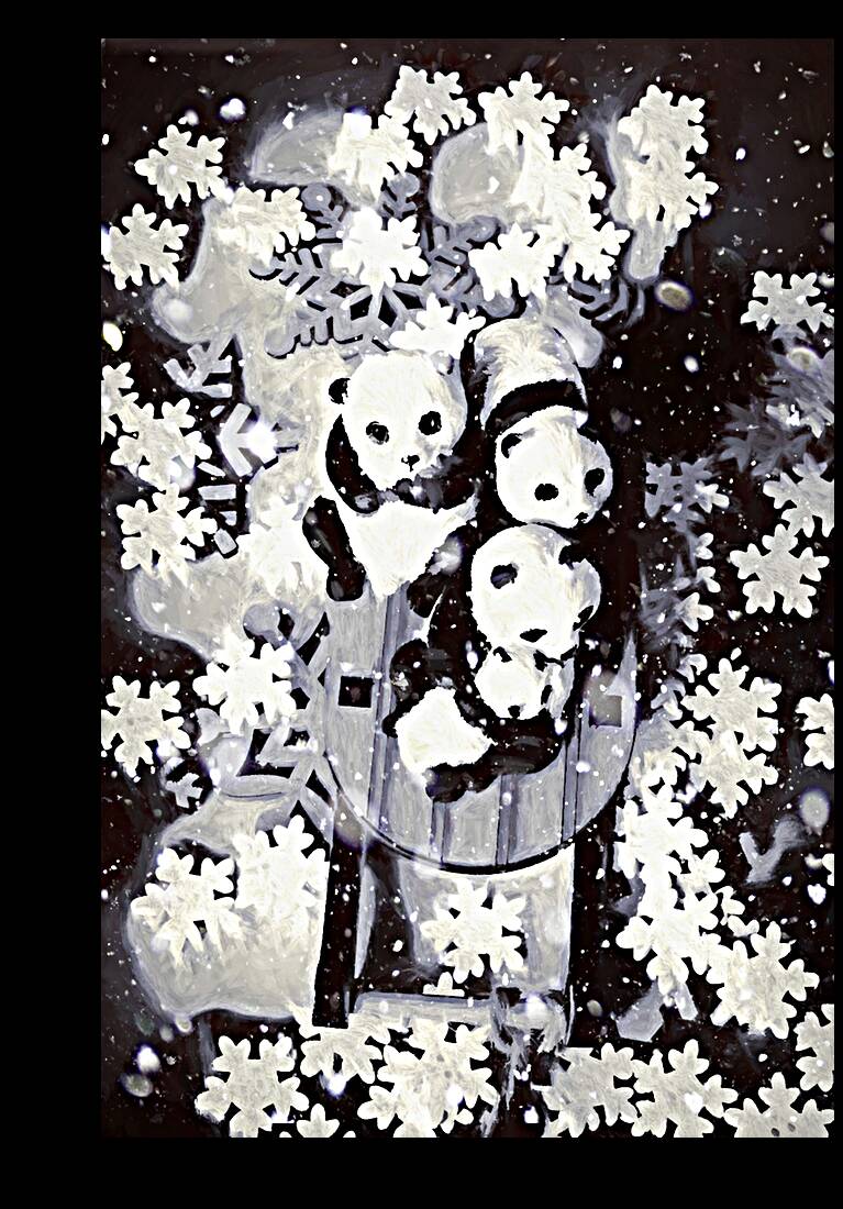 Frosty fun Reproduction