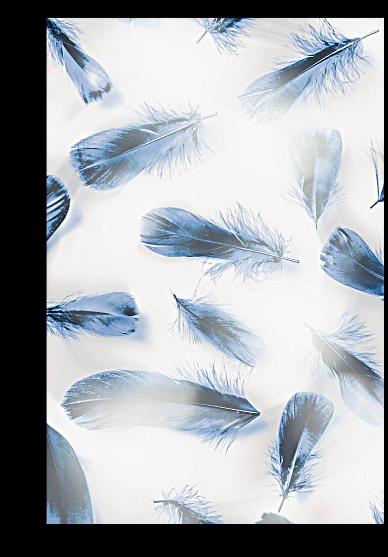 Light as Reproduction