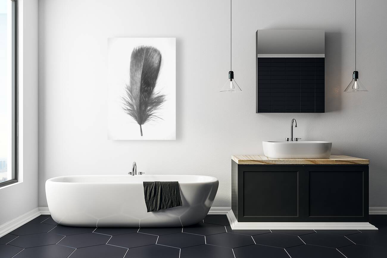 Pencil plume Reproduction