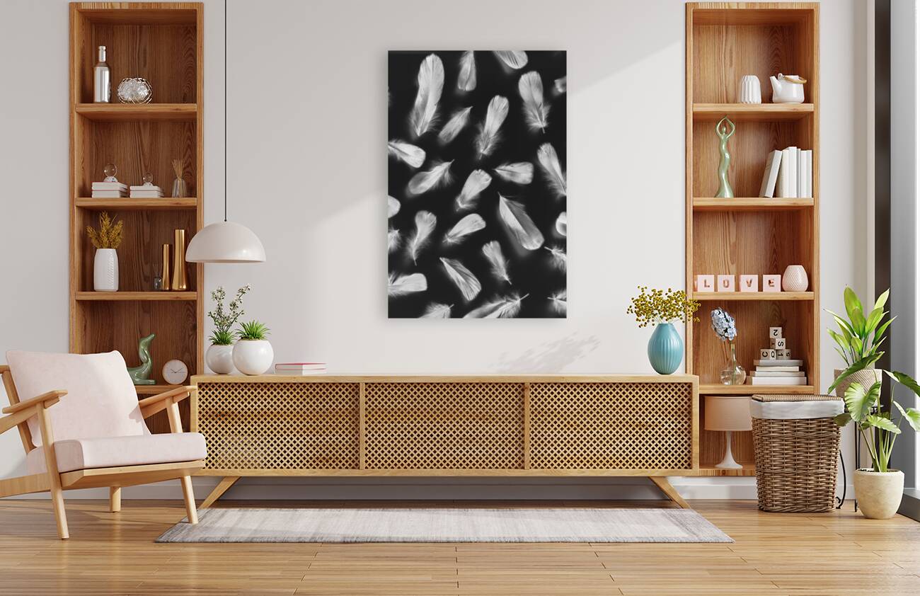 Fluff and feather Reproduction