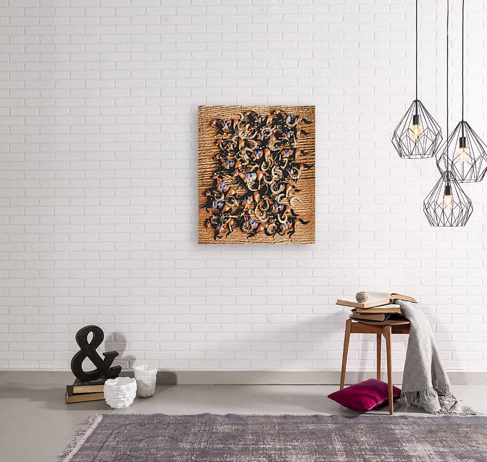 Horse gala Reproduction