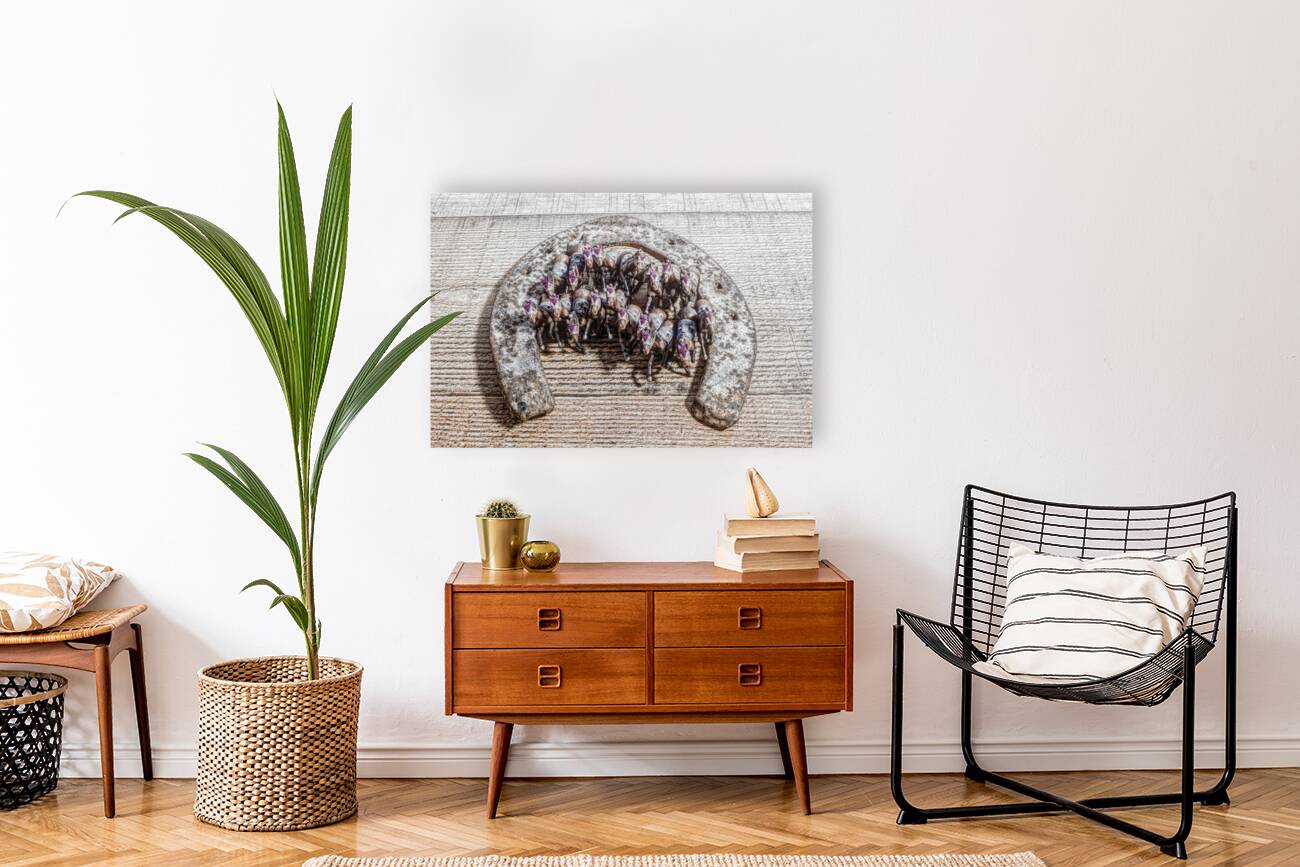 Horse play Reproduction