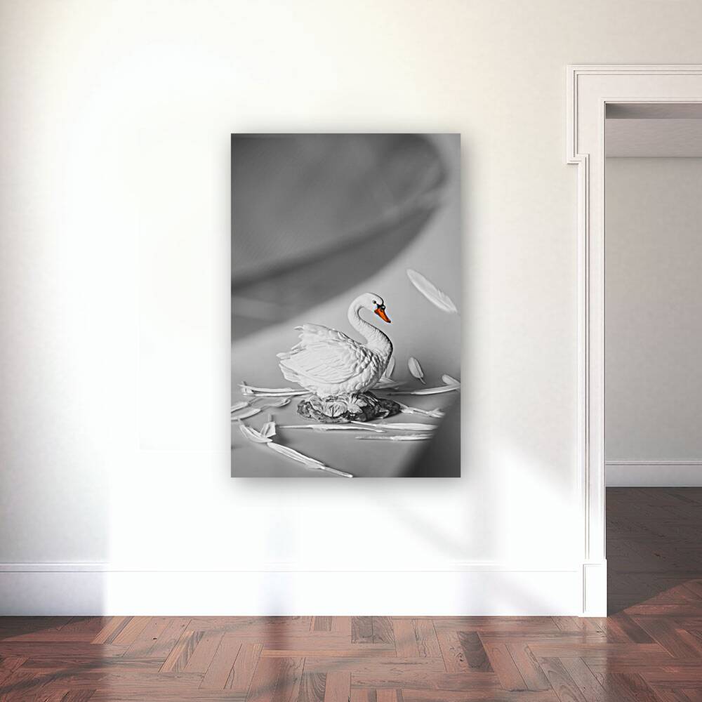 Obscured by floating feathers Reproduction