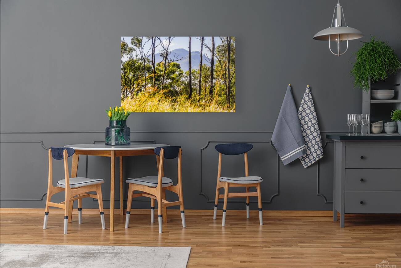 Mount Perry Reproduction