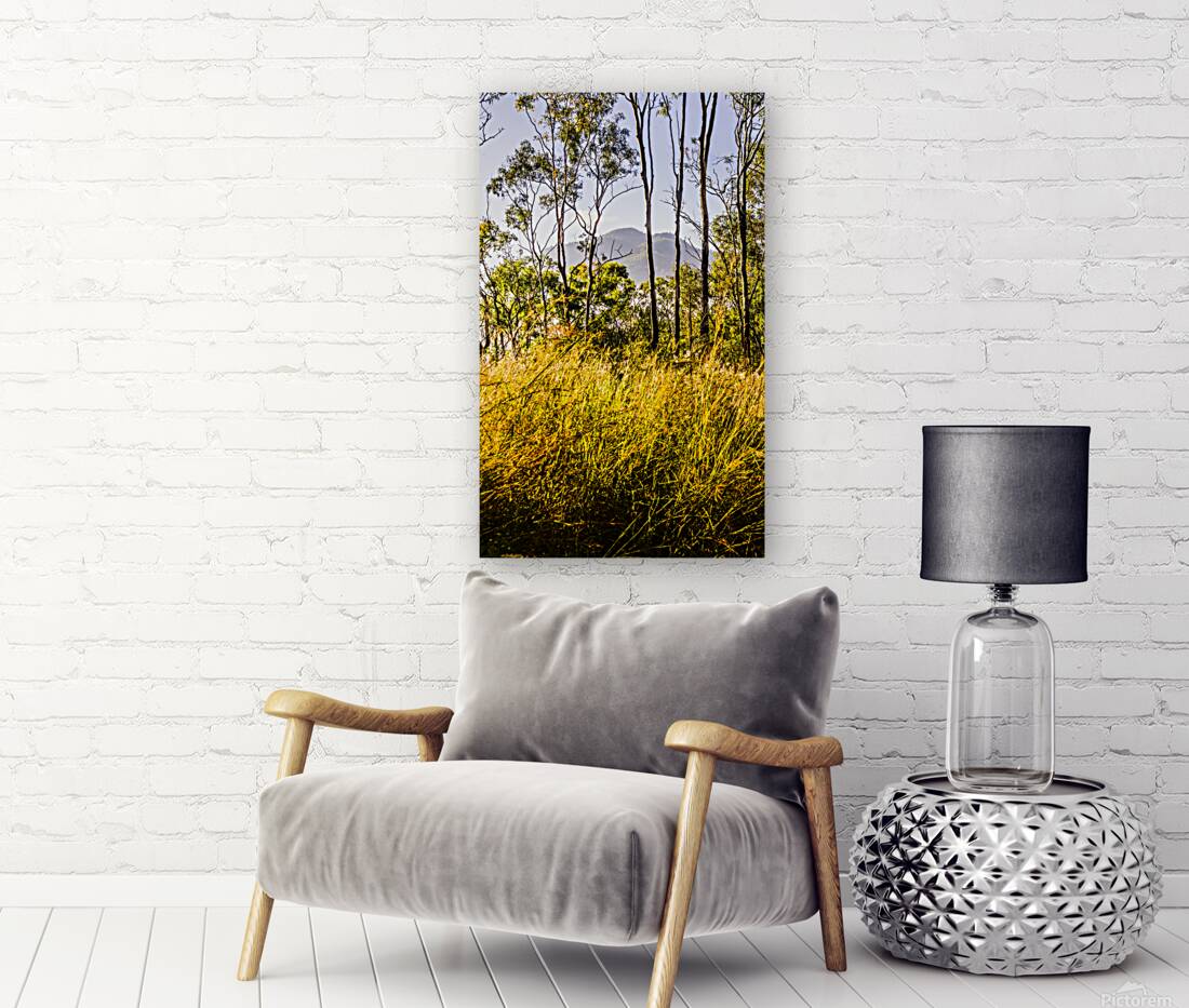 Heartland of Gold Reproduction