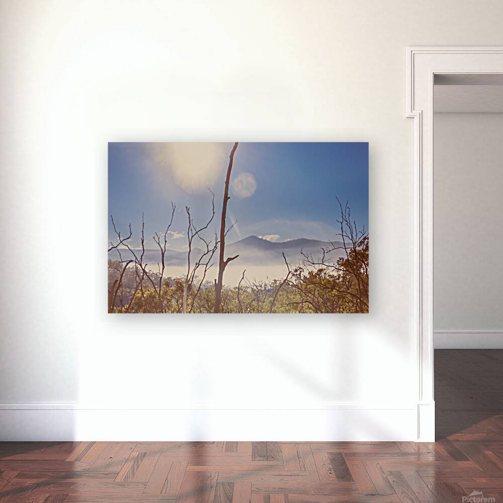 Gently Abounding Reproduction