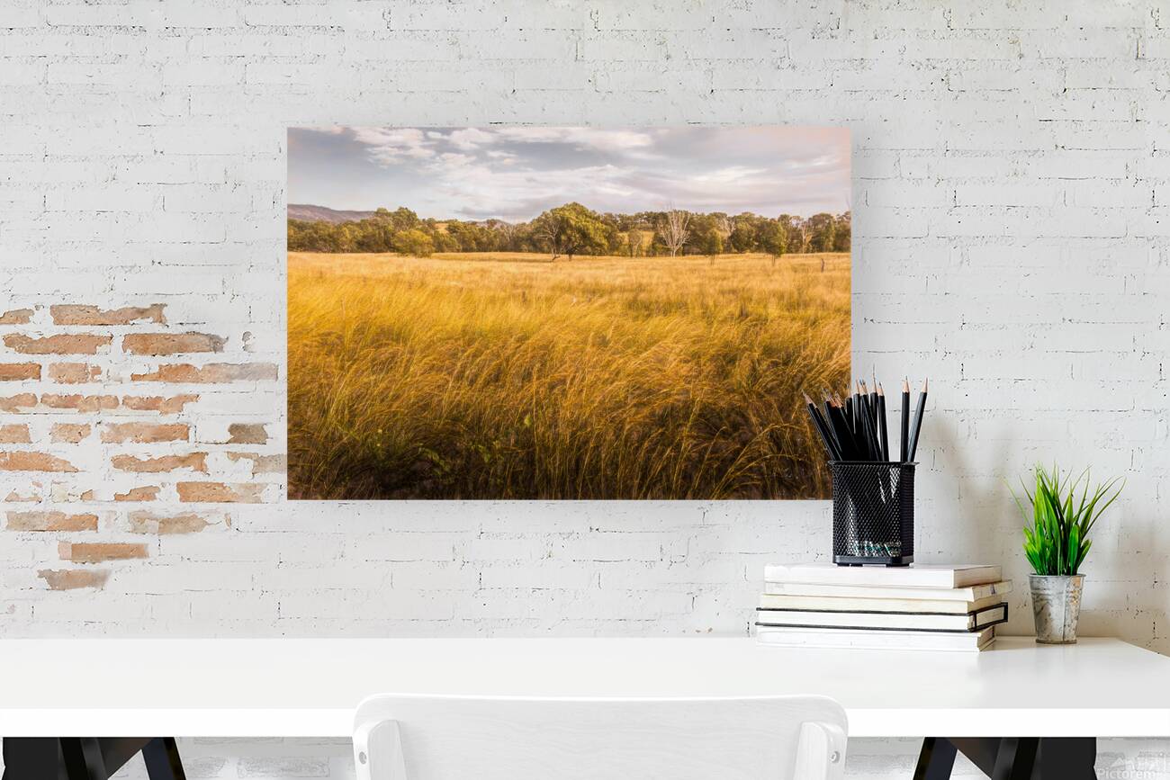 In The Outbacks Reproduction