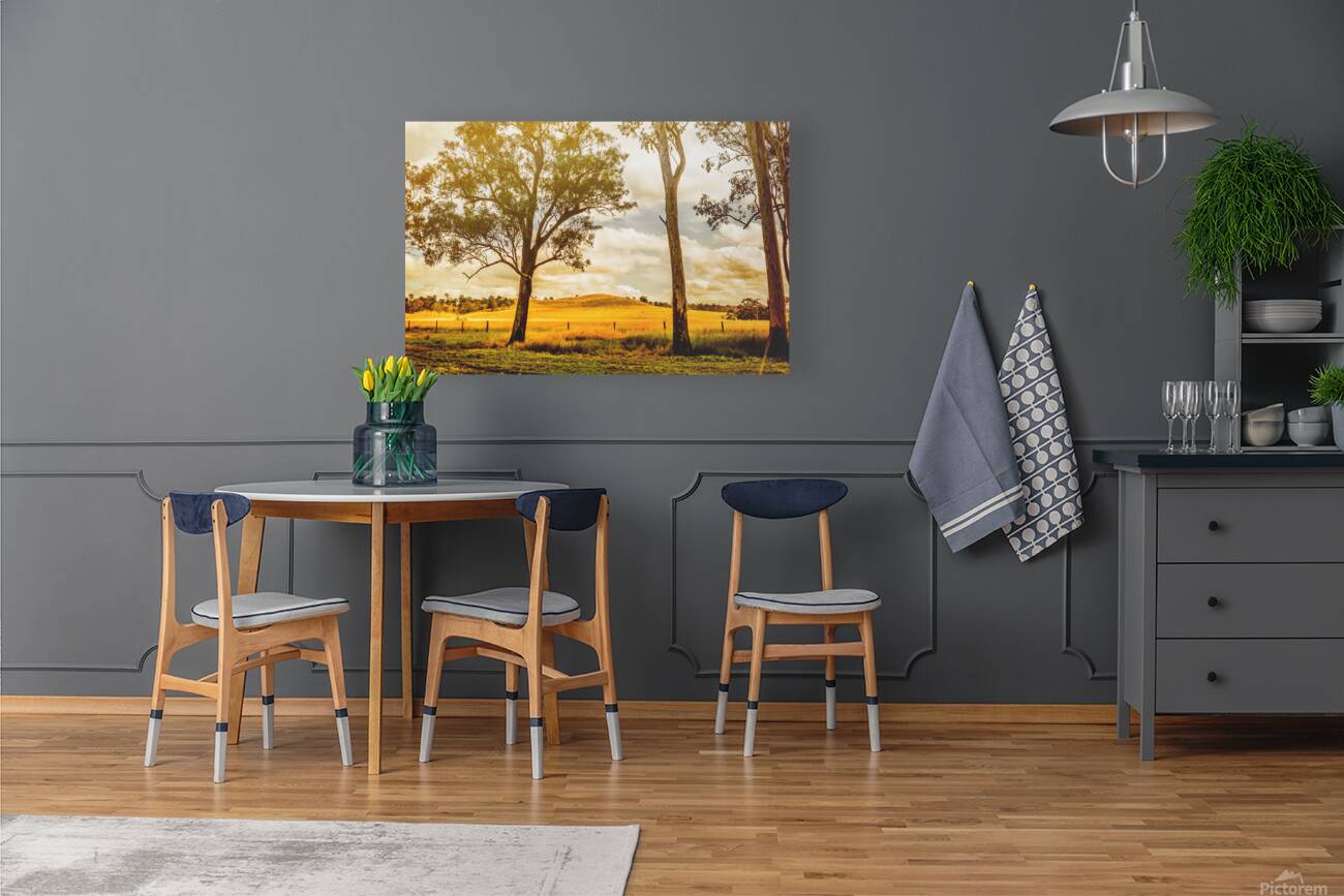 Gin Gin Golden Glow Reproduction