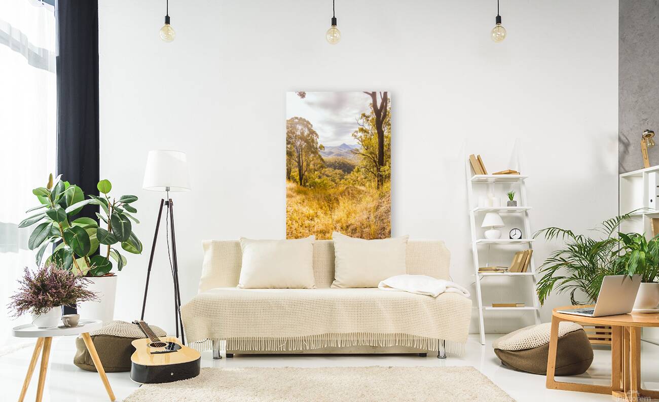 Queensland Country Reproduction