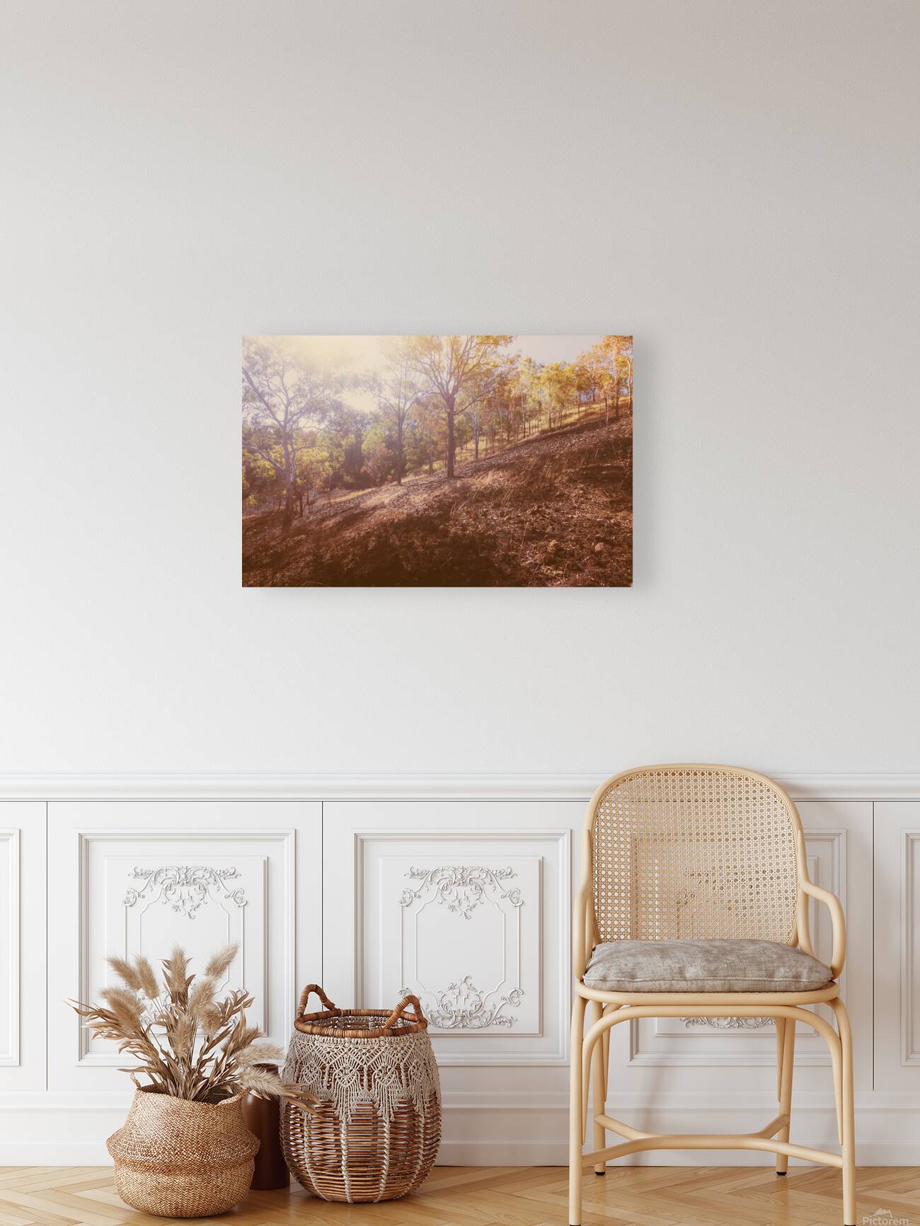 The Warmth Reproduction