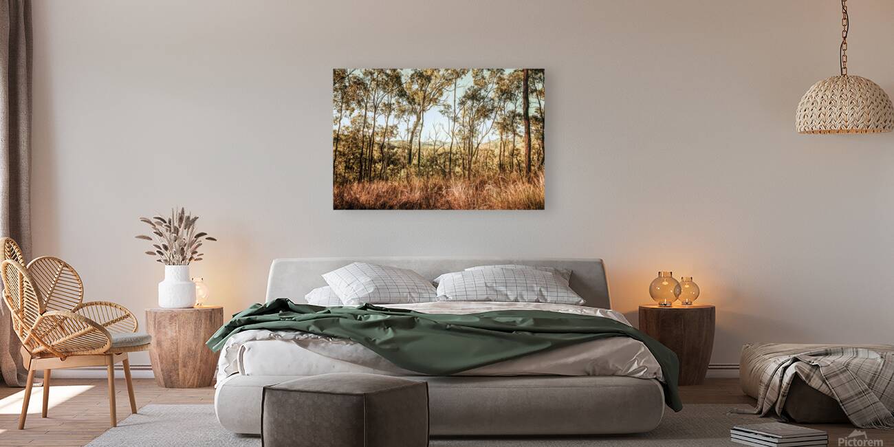 High Country Reproduction