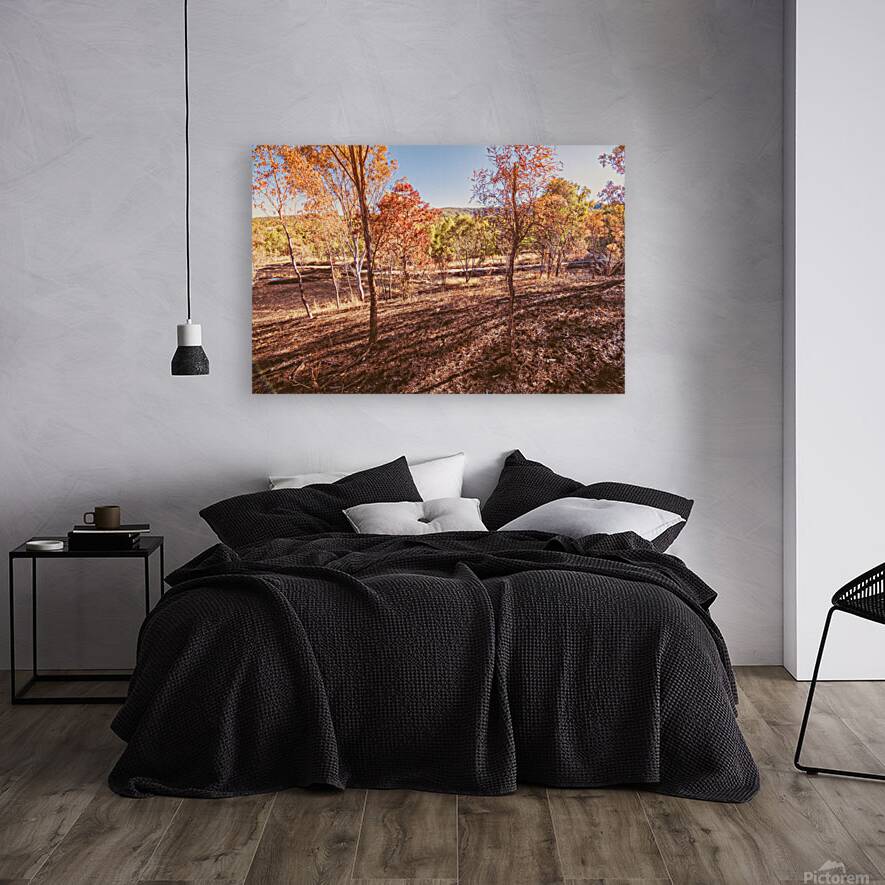 Road Outback Reproduction