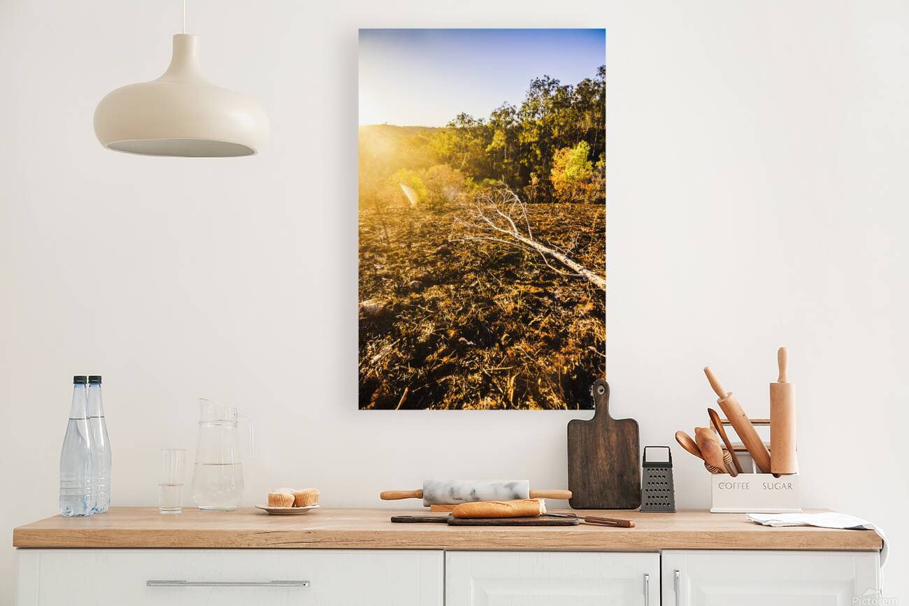 Country Clearing  Reproduction