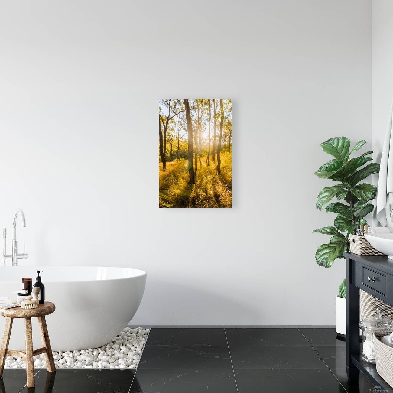 Wooded Light Reproduction