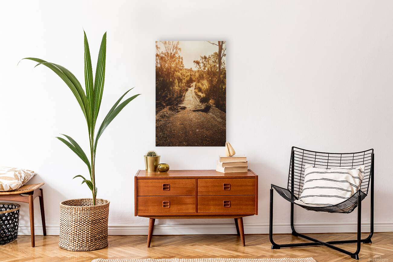 Sunflare Thoroughfare  Reproduction