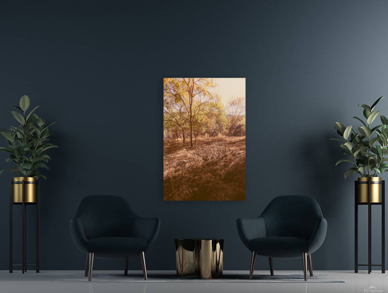 Afternoons Afterglow Reproduction