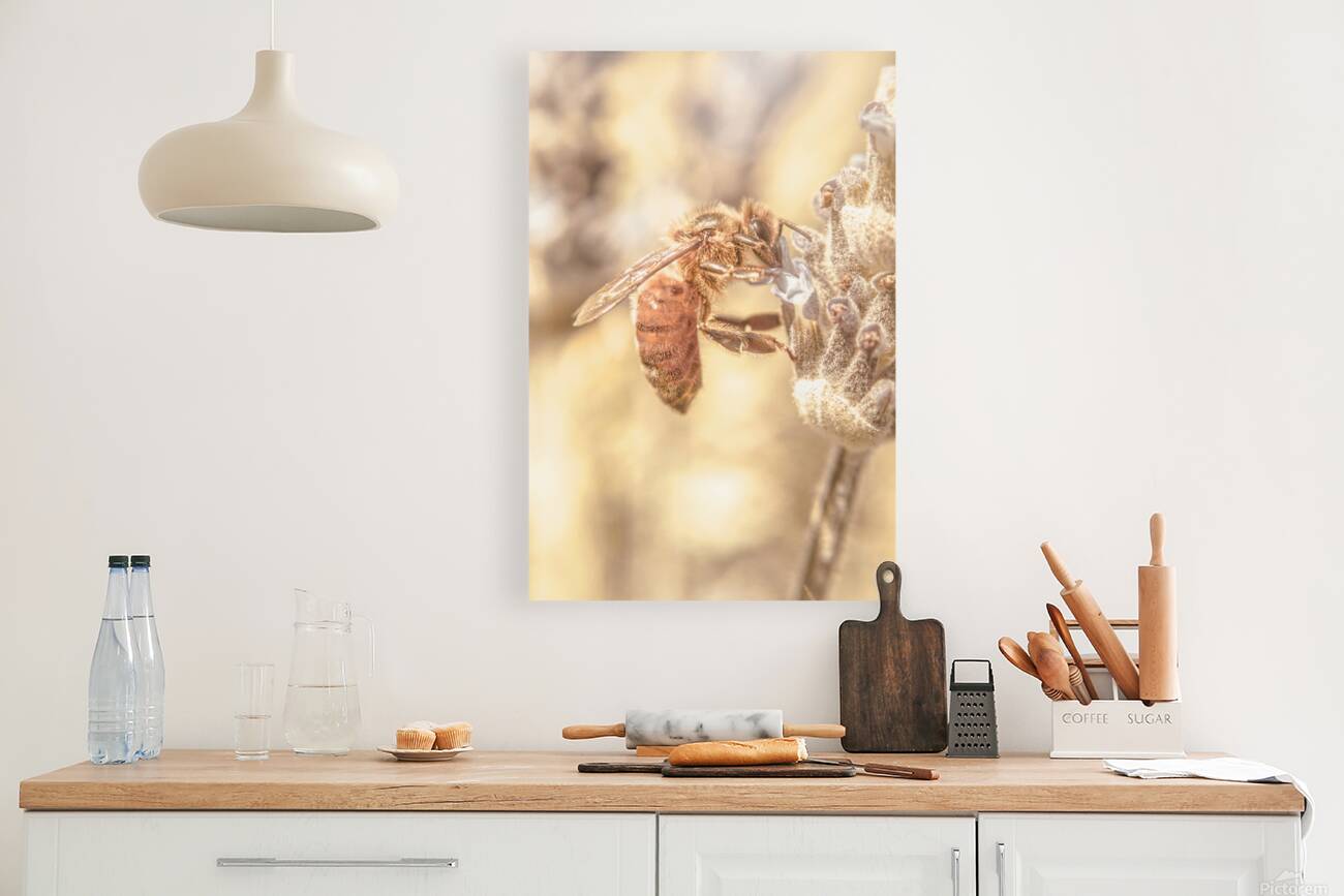 Summery Bee Reproduction