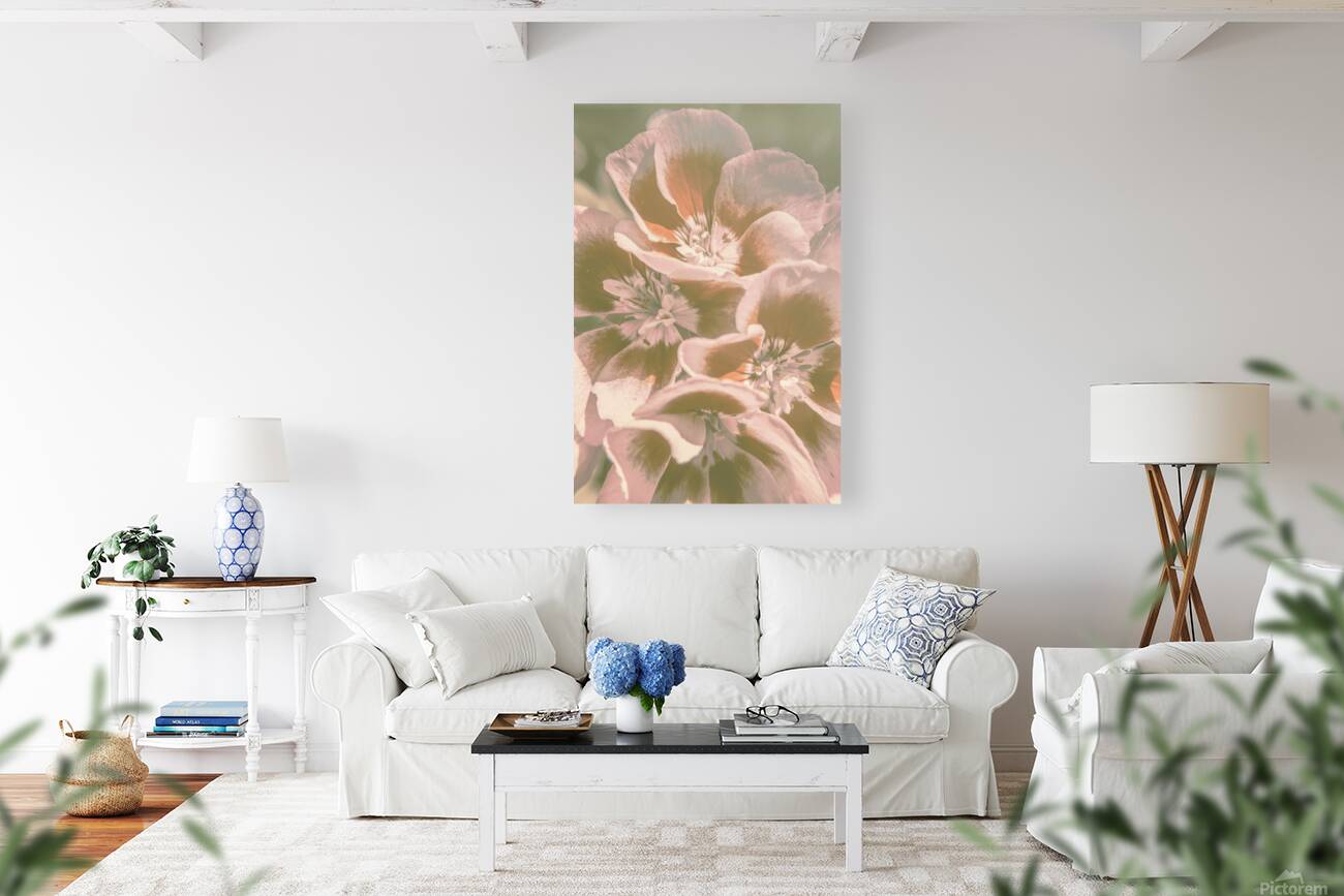 Geranium Wash Reproduction