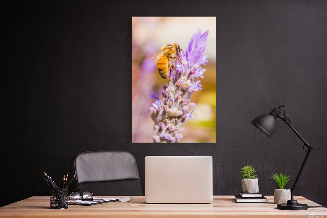 Busy Bee Reproduction